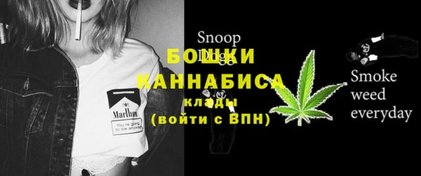 ECSTASY Вязьма