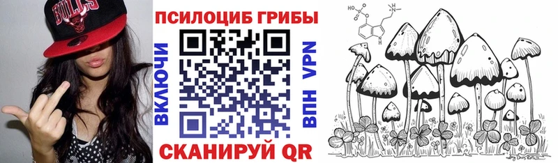 Псилоцибиновые грибы Psilocybine cubensis  Симферополь 