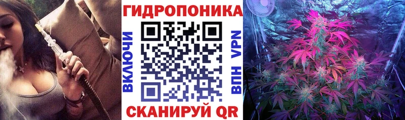 Канабис OG Kush  Симферополь 